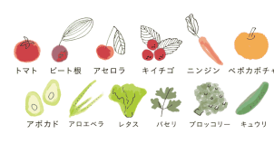 野菜_洗顔_ベジスキン_口コミ